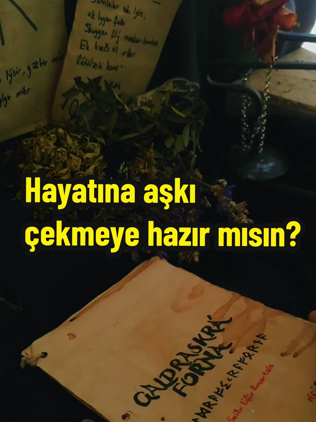 @Runetok