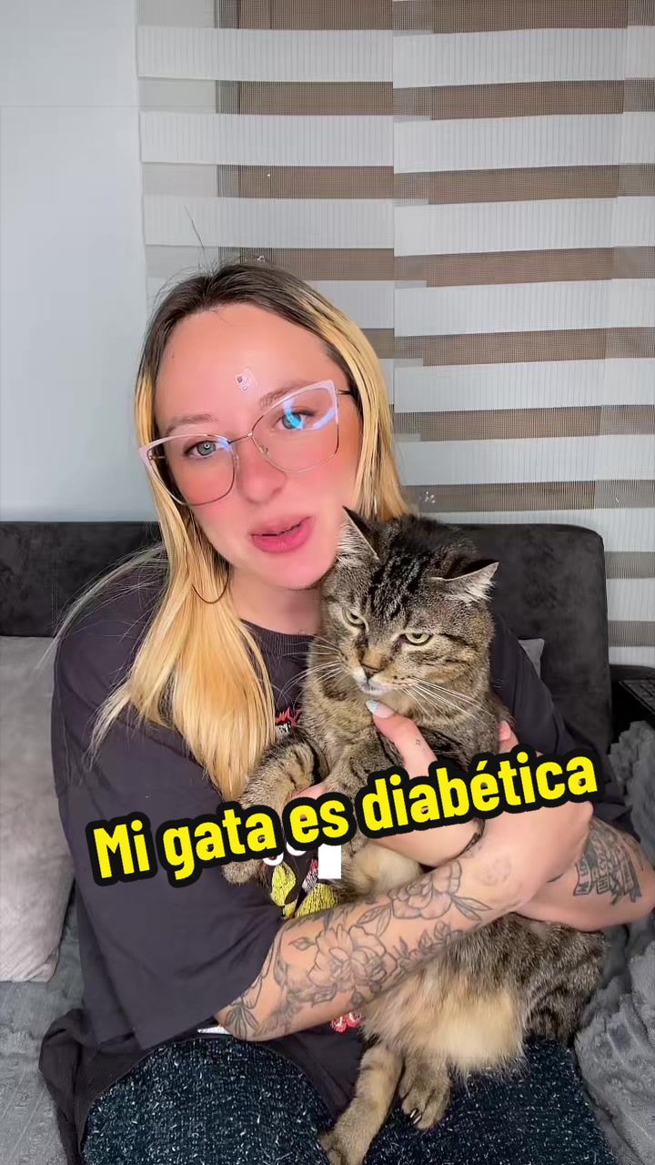 @Alli Tellez
