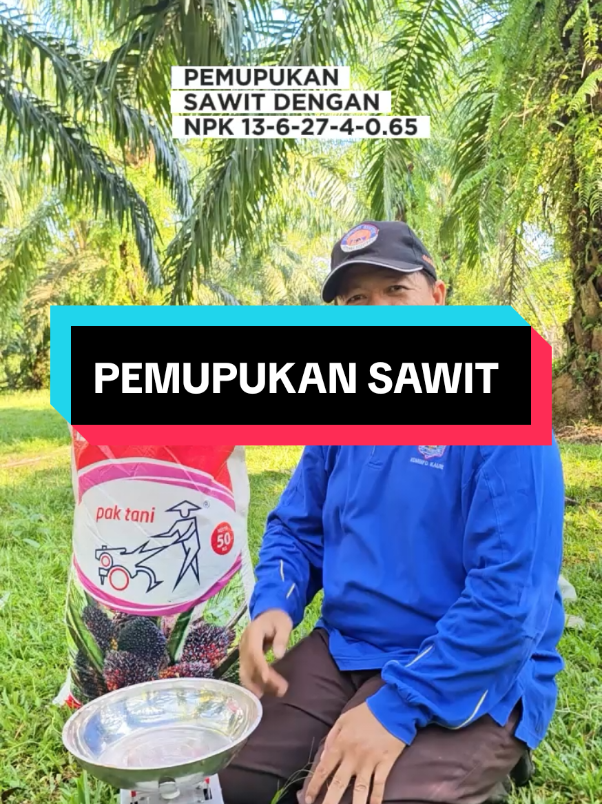 @Mr JARNAWI