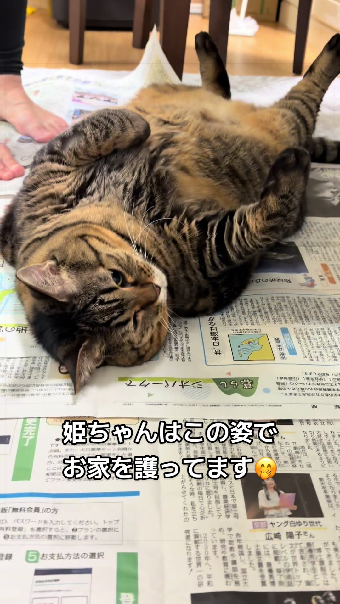 @翠