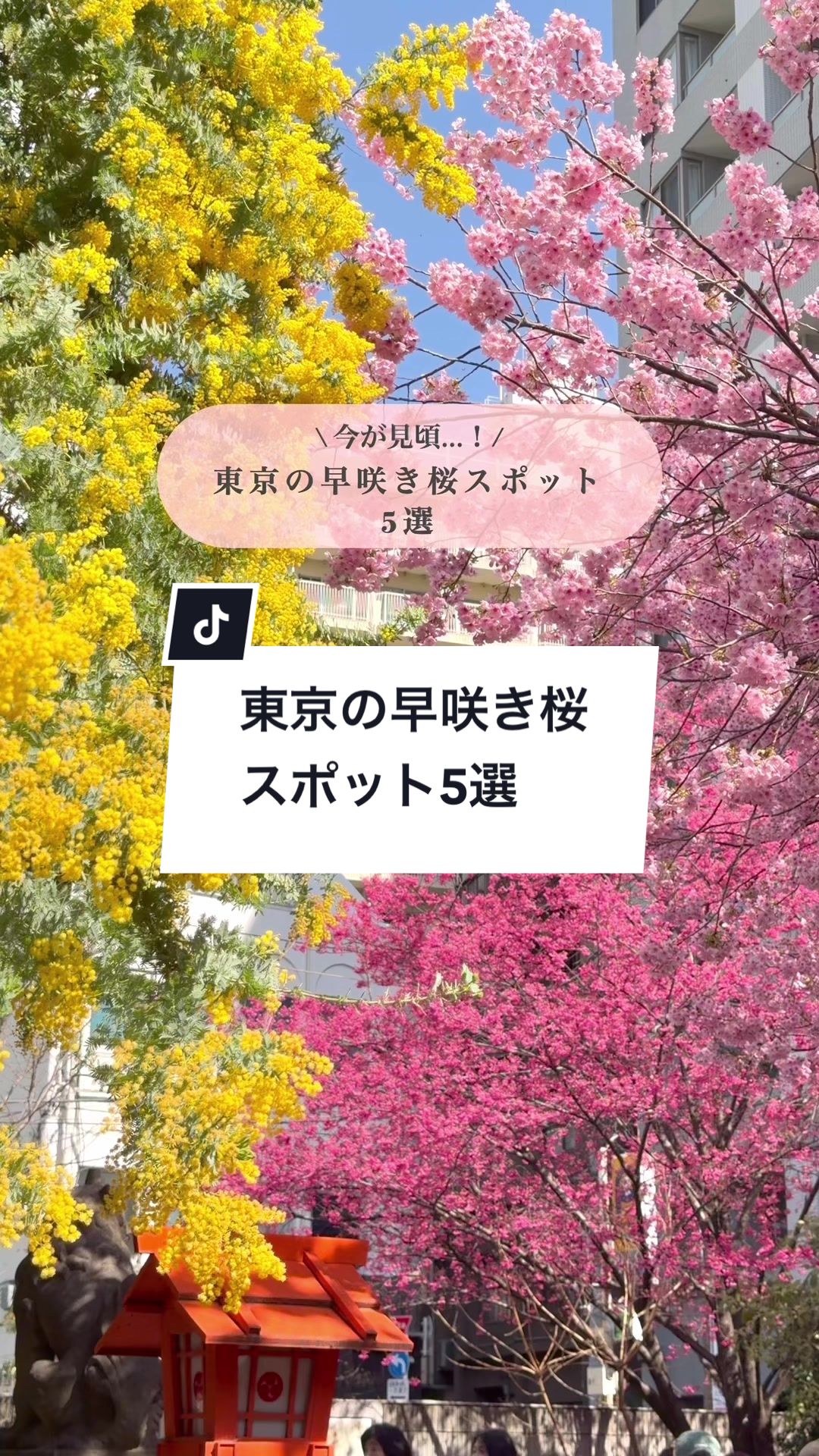 @MIZUKI | 東京おでかけスポット