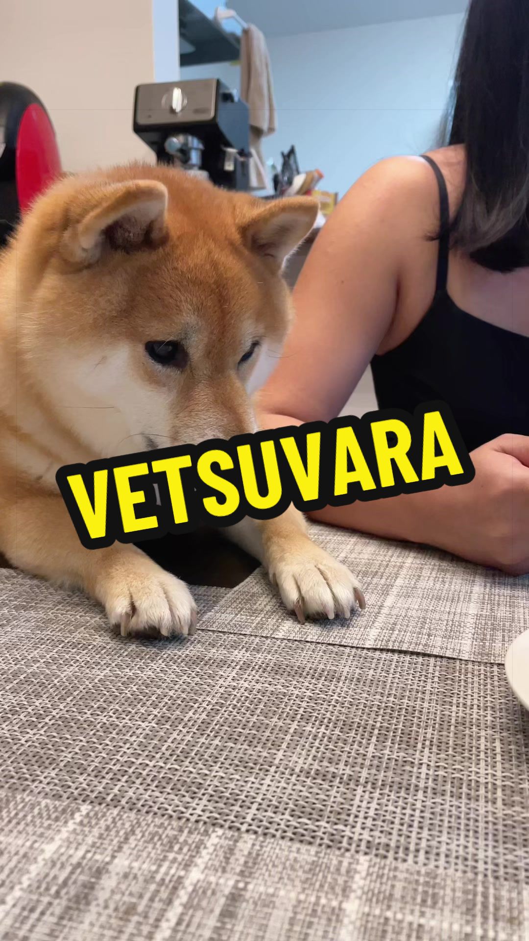 @特に柴犬が好きな人