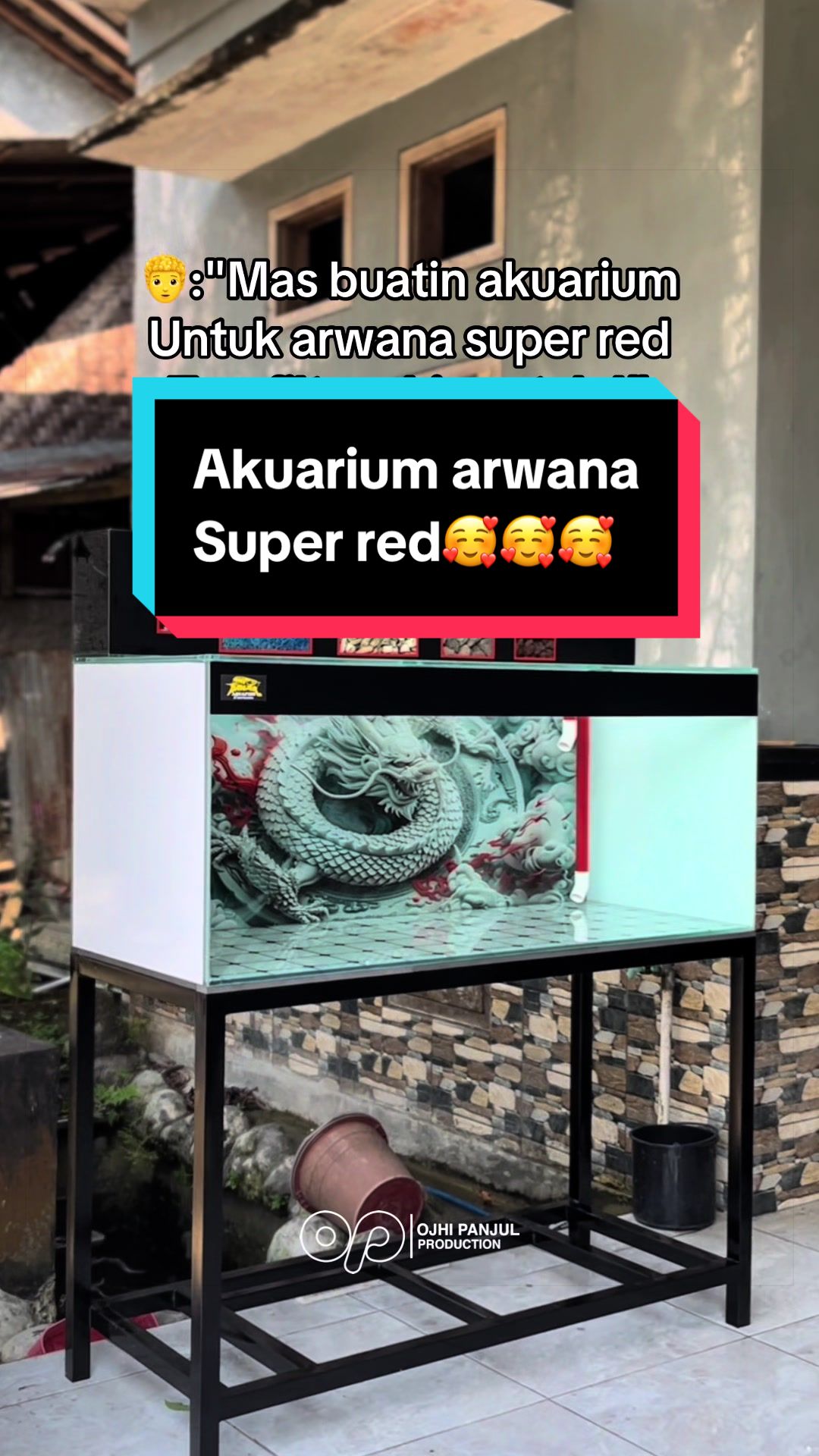@Panjul Aquafish