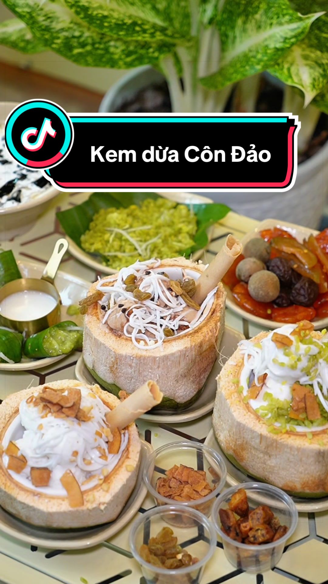 @Cô Gái Nam Định