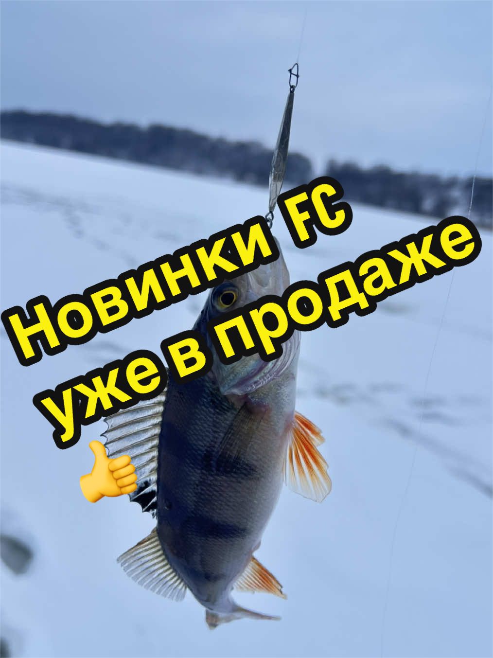 @rybalkashop