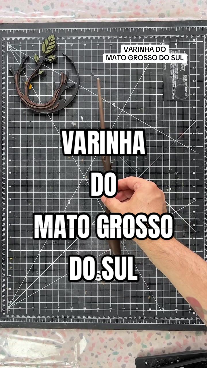 @Kaio Medau