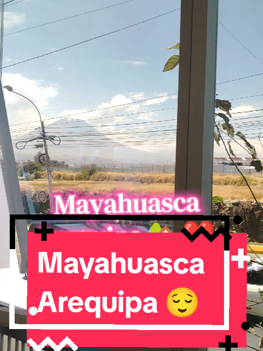 @Mayahuasca❤️