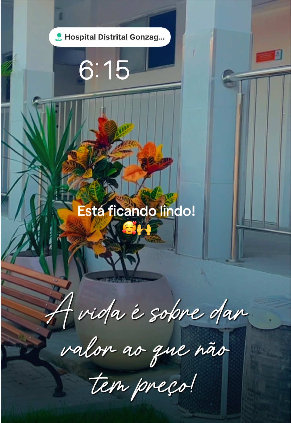 @fatimafreire1313