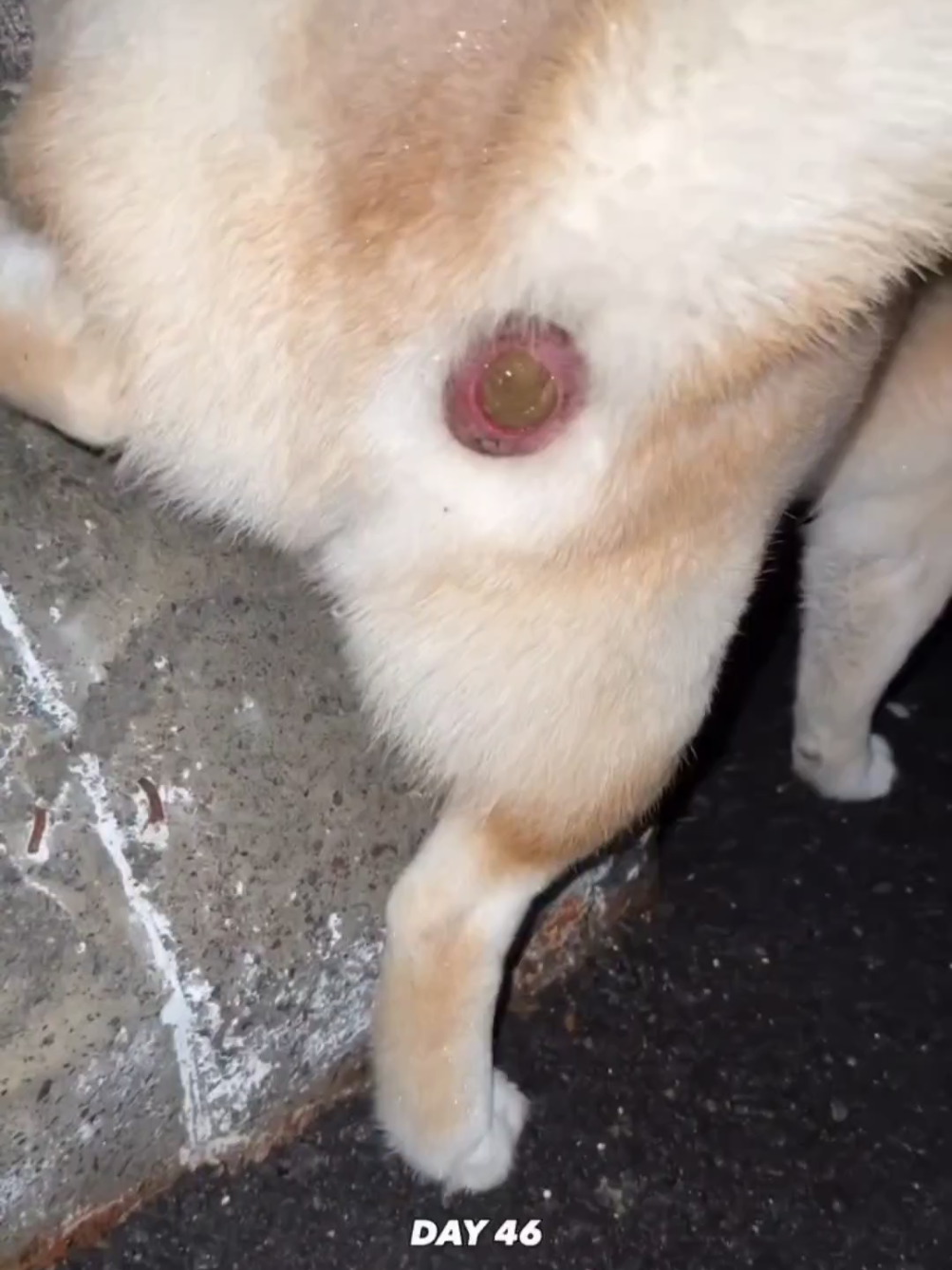@Machiko Shiba