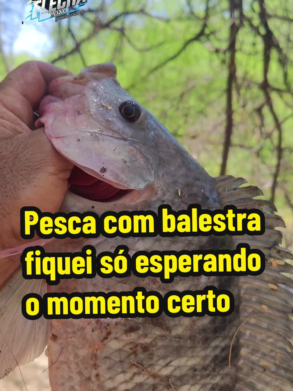 @Joildo Araujo