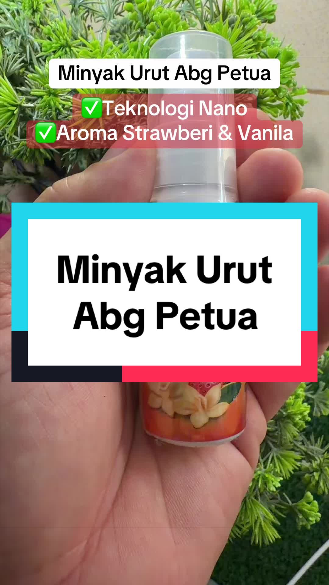 @Mahadi Abdullah | Abg Petua