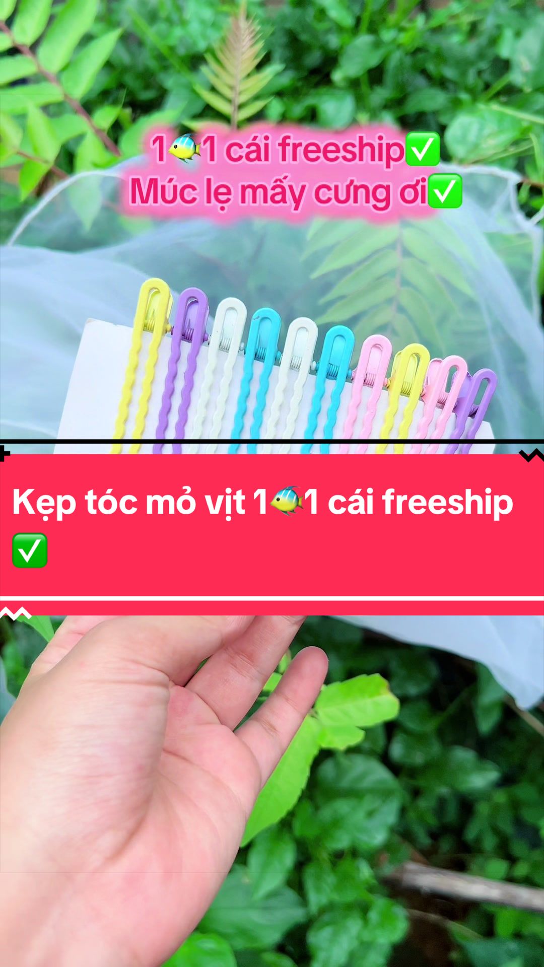 @Dâu Vùng Cao