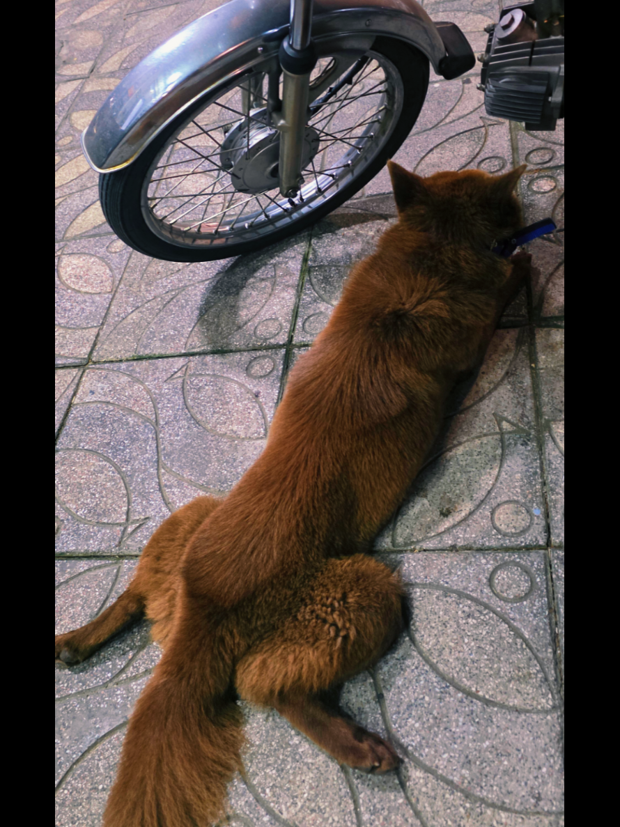 @&ocirc;ng gi&agrave; đầu tư 👴 b&aacute;n s&aacute;ch