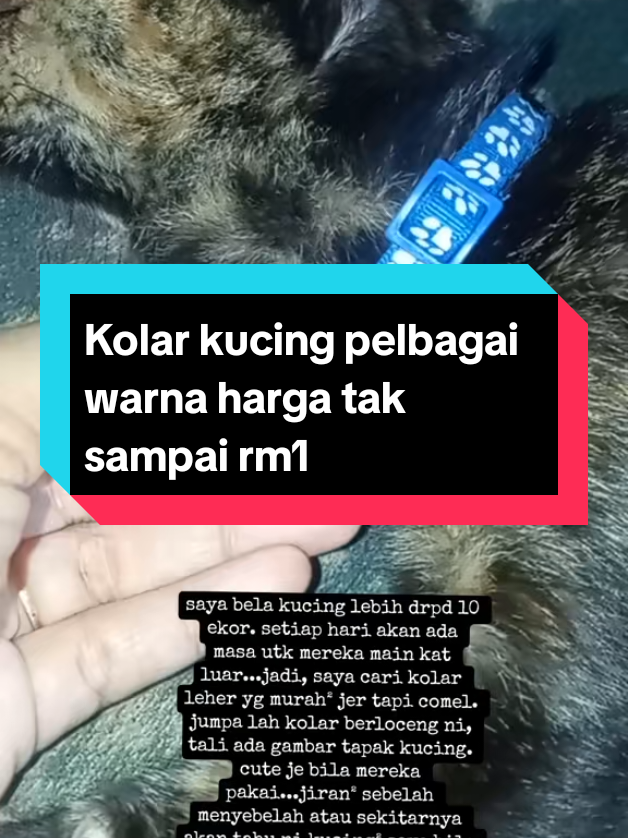 @Aniey Faudzi 🍂