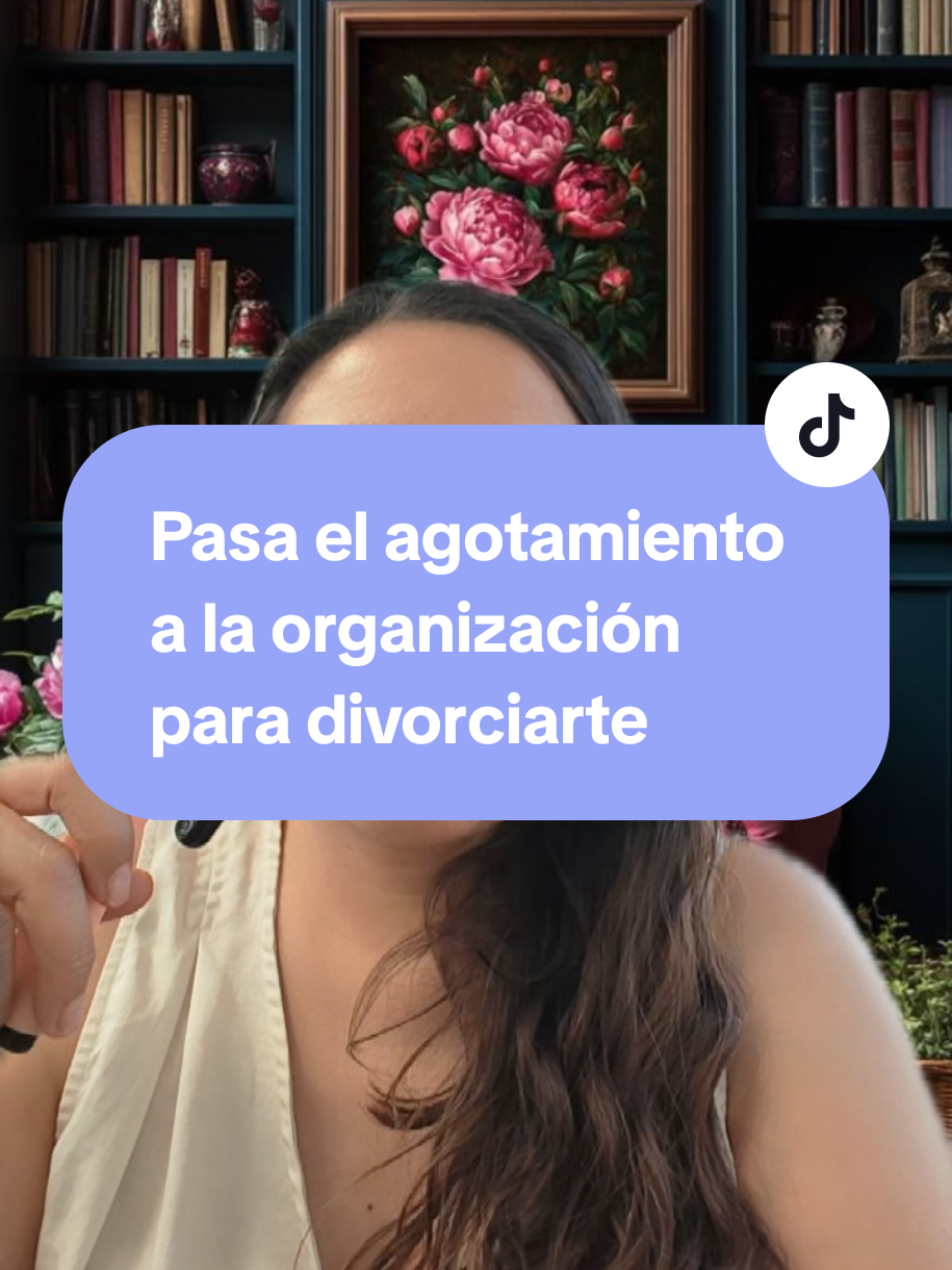 @organizatudivorcio