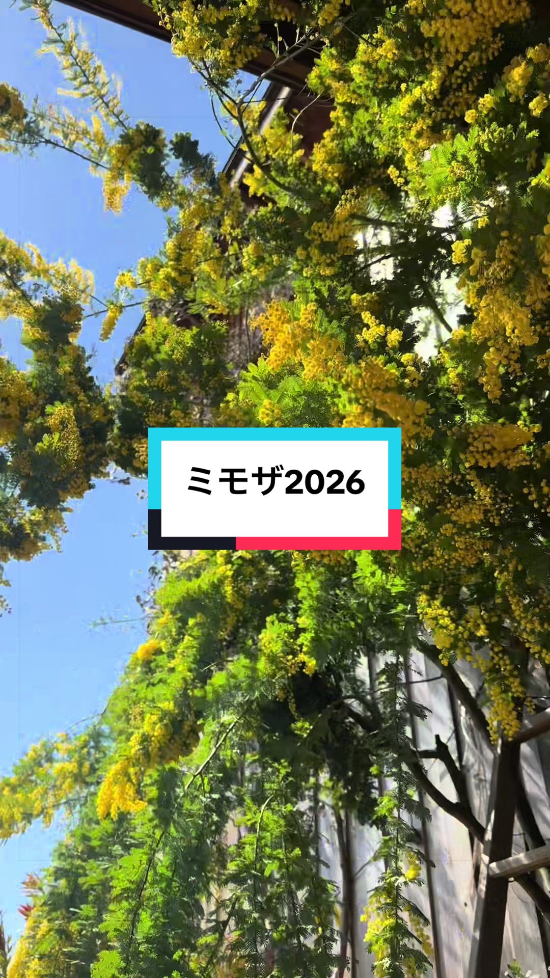 @かんずり夫婦のひろみ