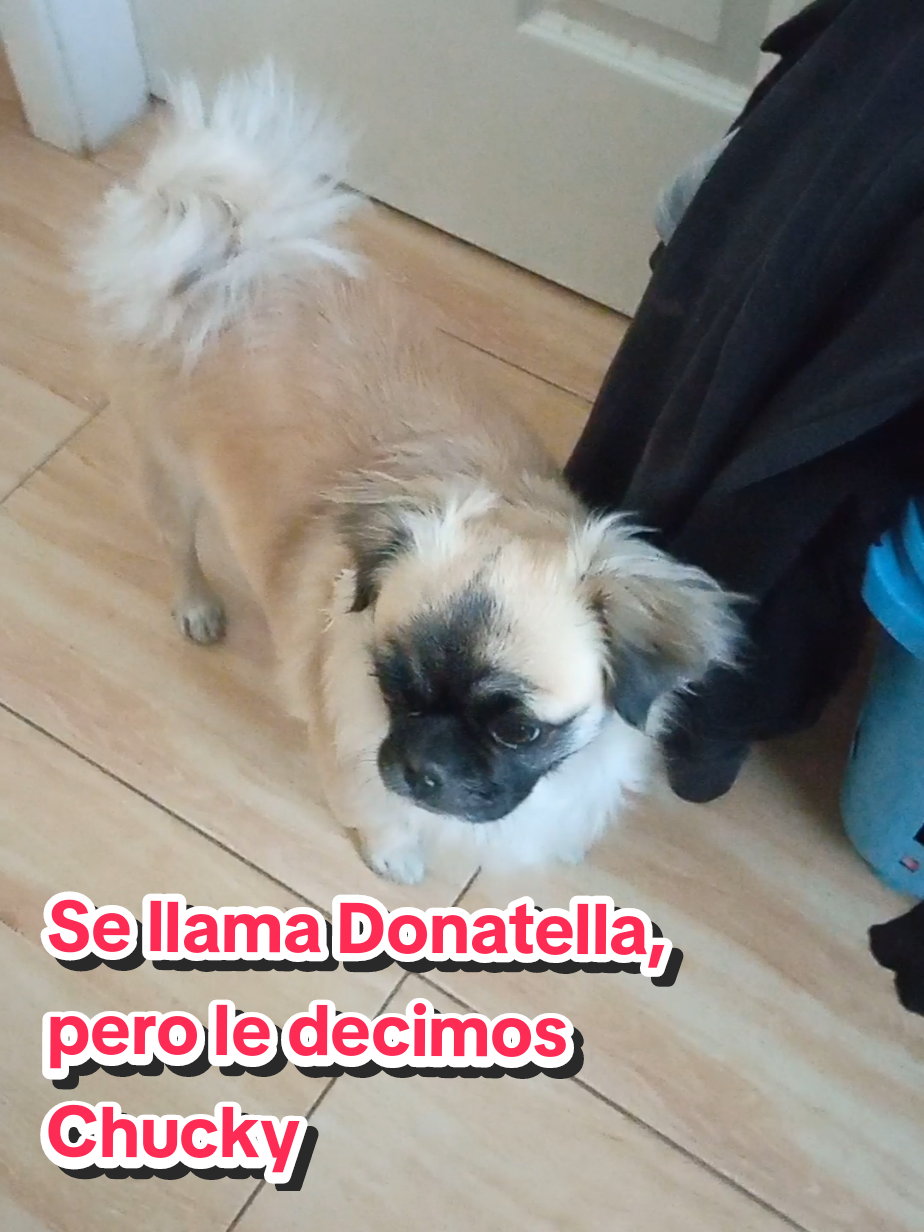 @Ana Merino Sánchez