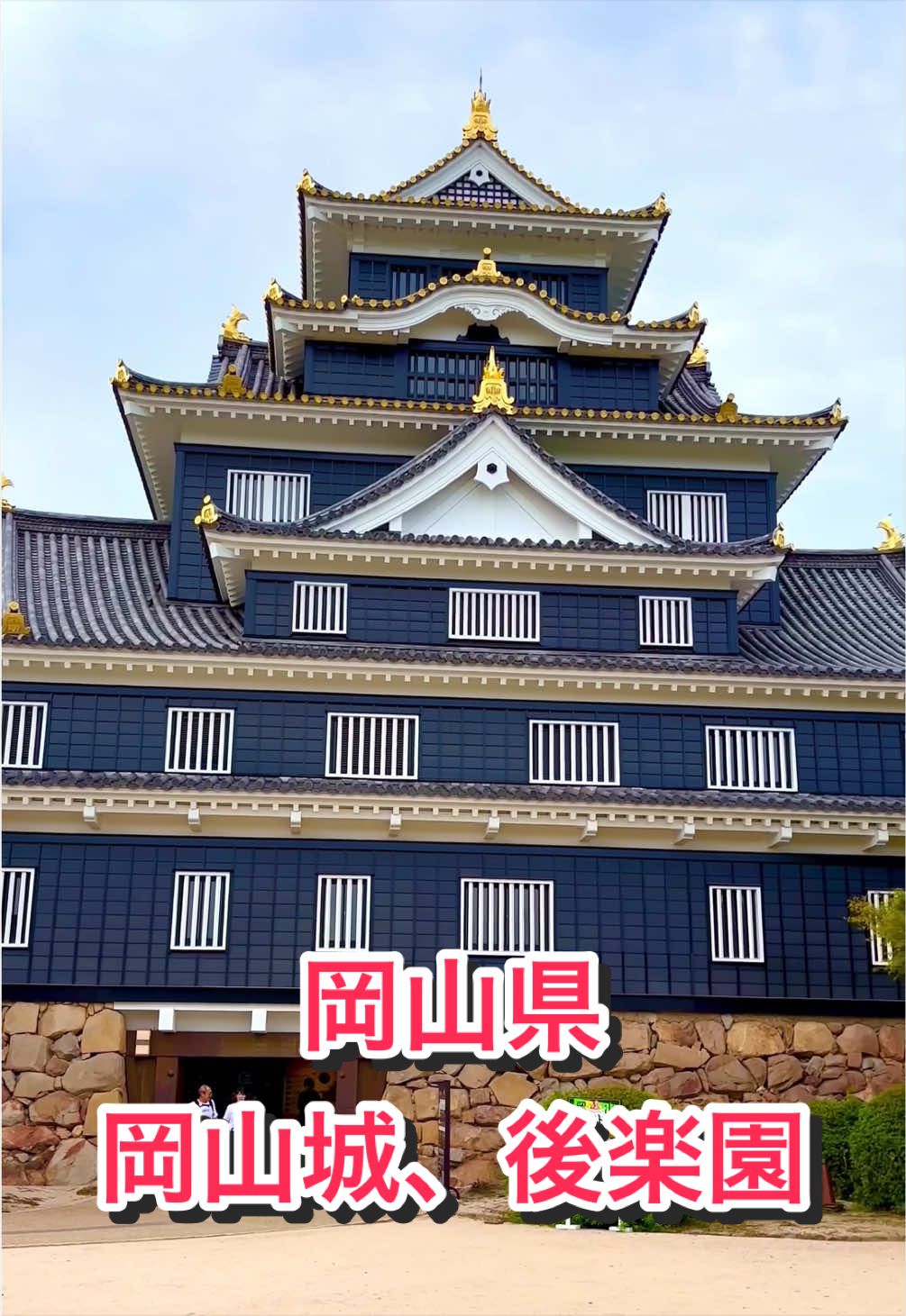 @音丸ぽん🇯🇵