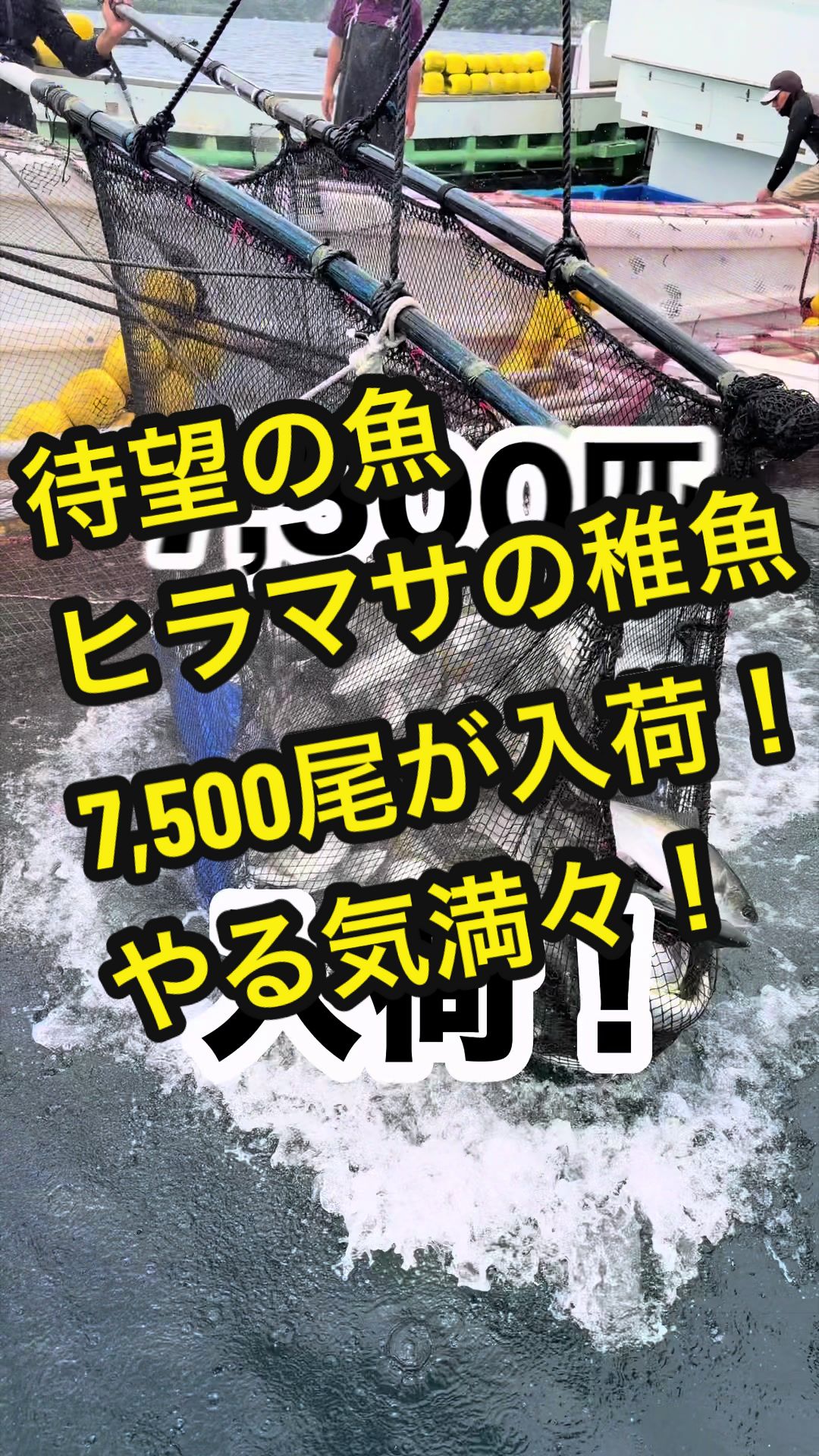 @長崎のイケメン漁師@坂野水産