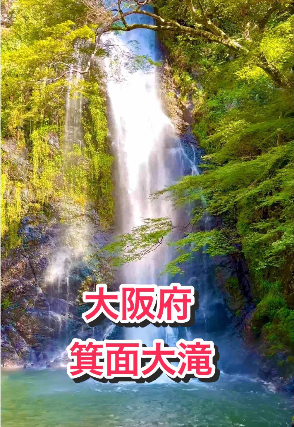 @音丸ぽん🇯🇵