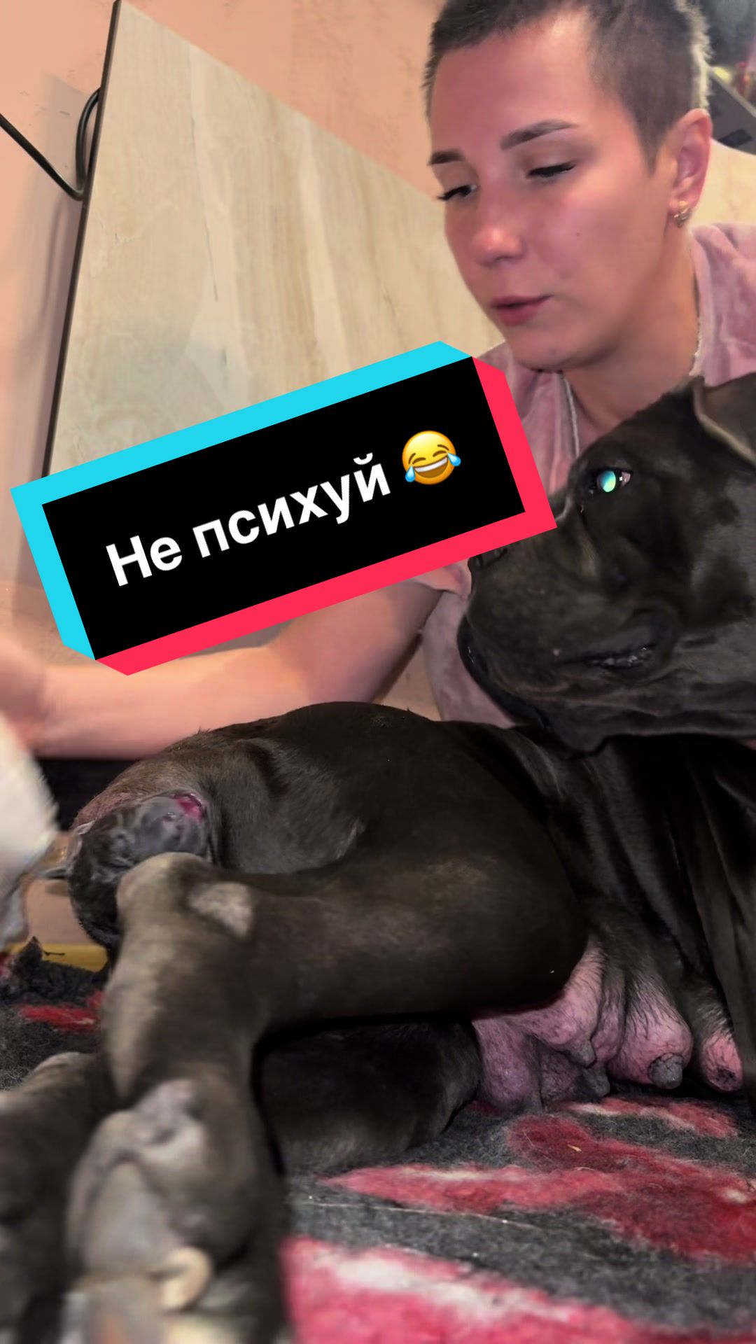 @Infinity Glory 🇺🇦