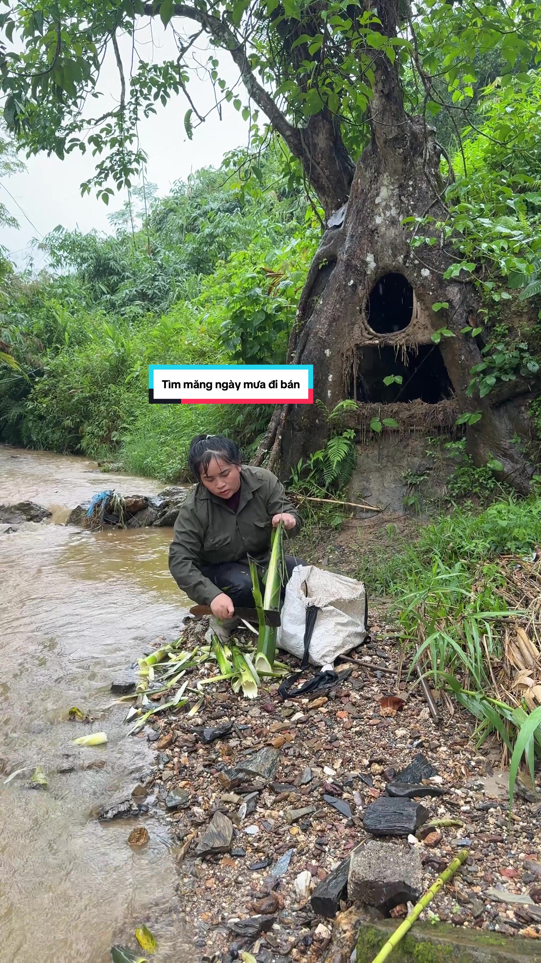 @Sức Tày