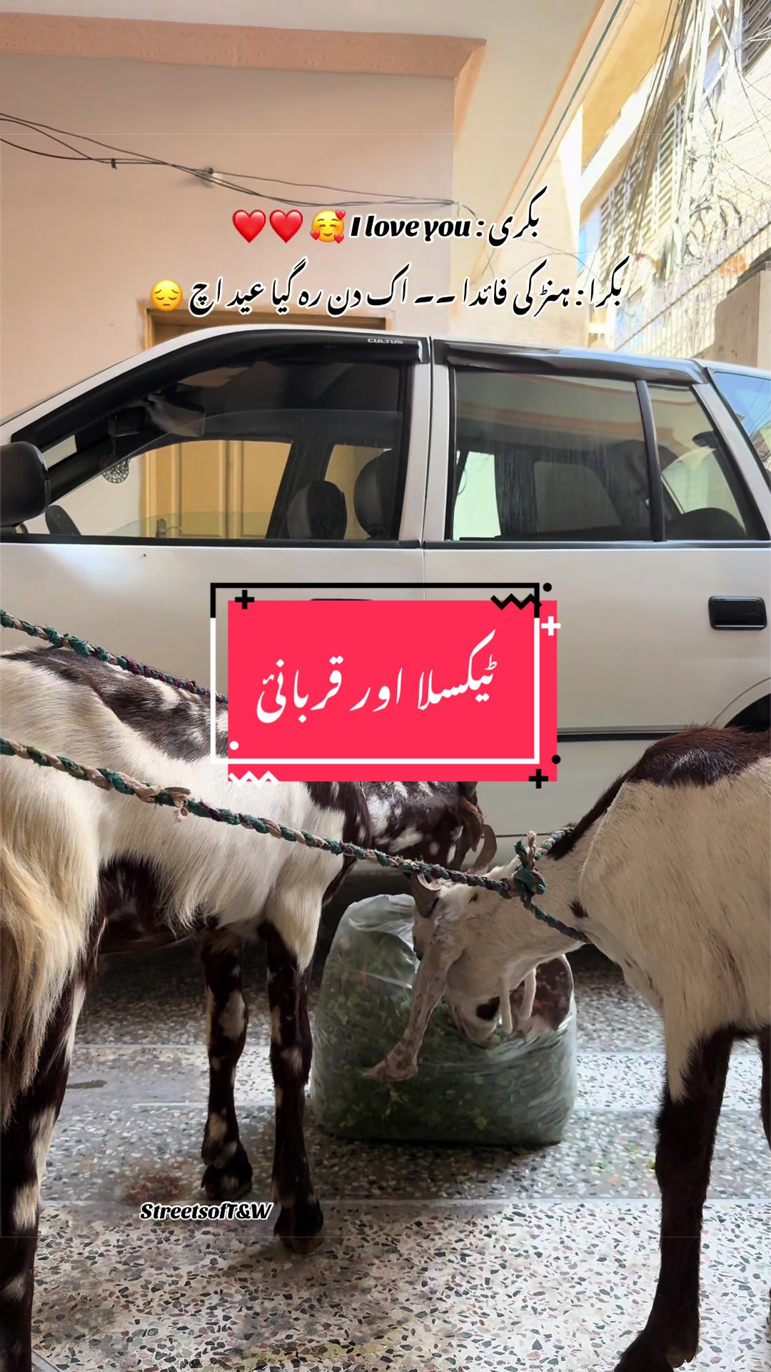 @Streets of Taxila & Wah