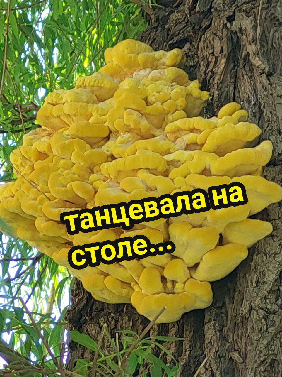 @Рыся✔️🇧🇾