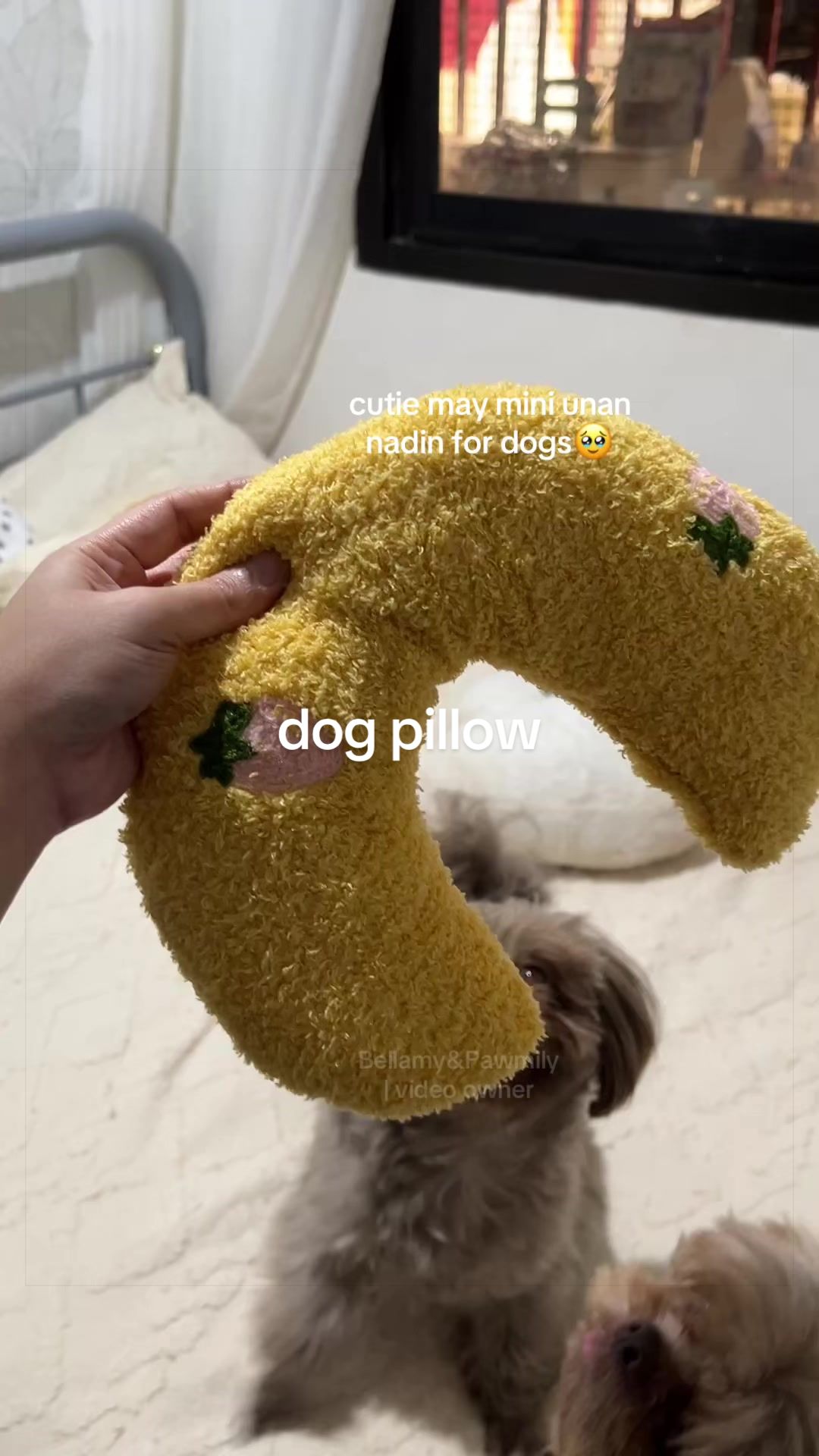 @Bellamy&Pawmily