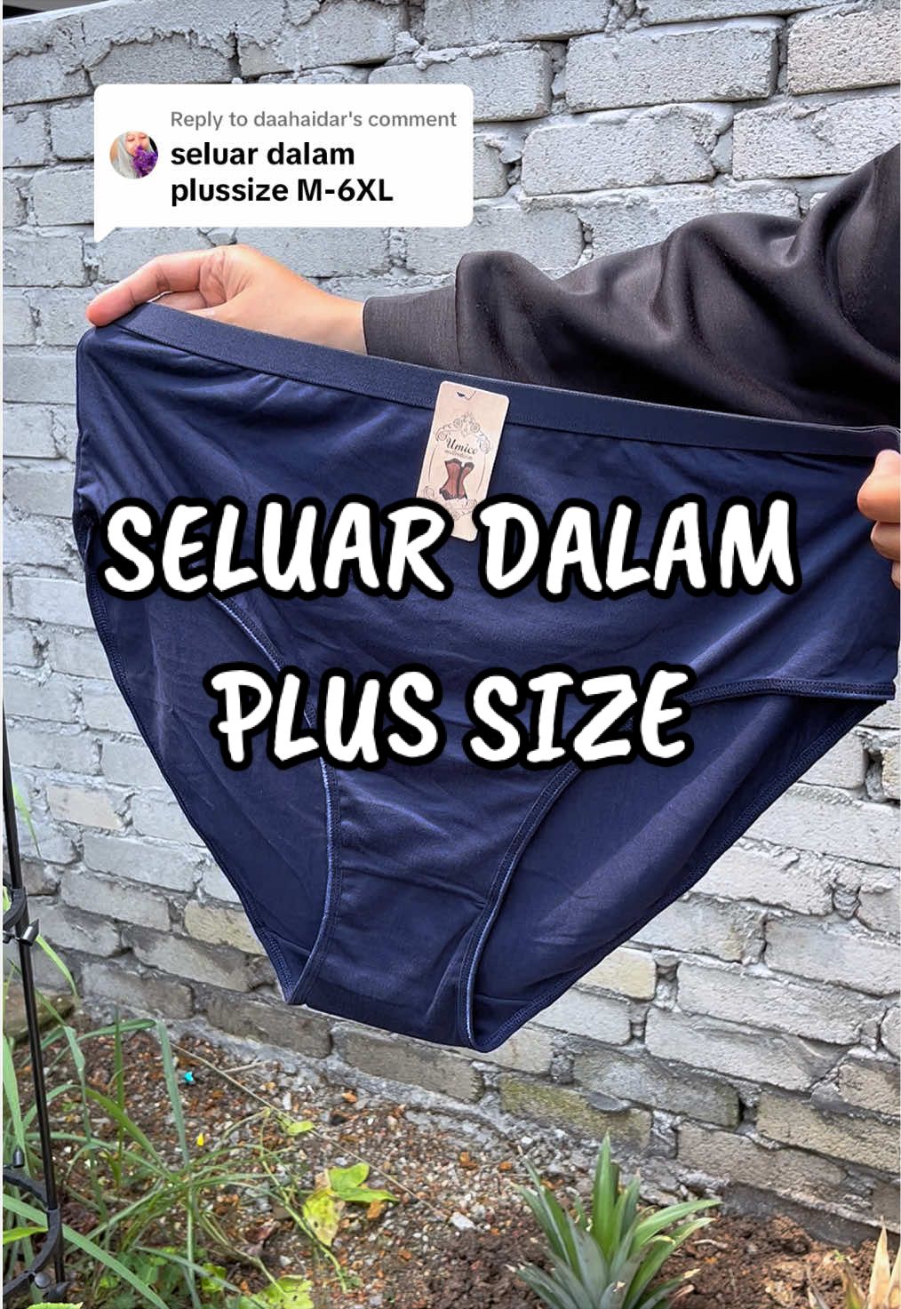 @daahaidar