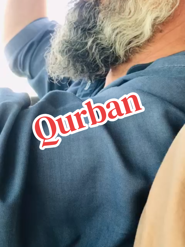 @Islamudin kakar