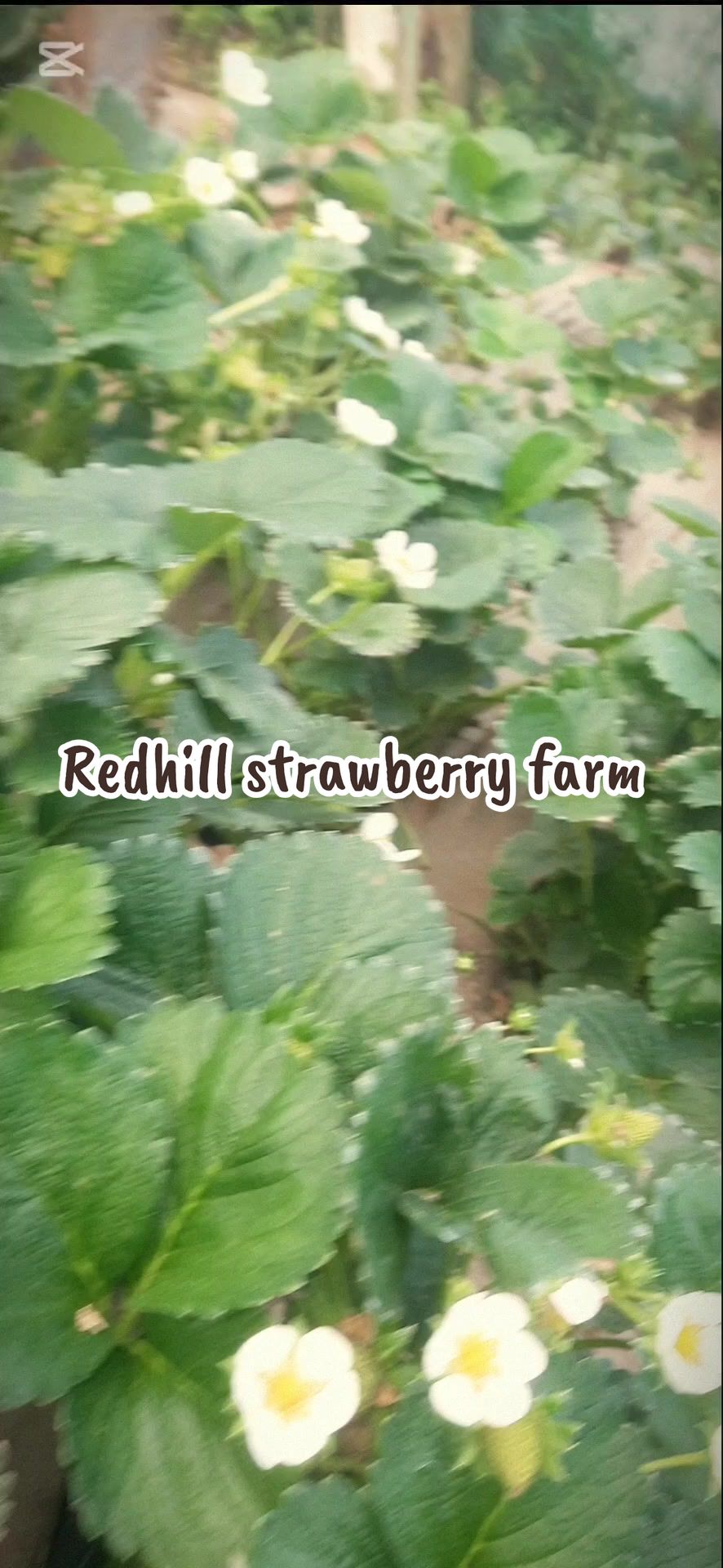 @Agri-Irrigation Africa Limited