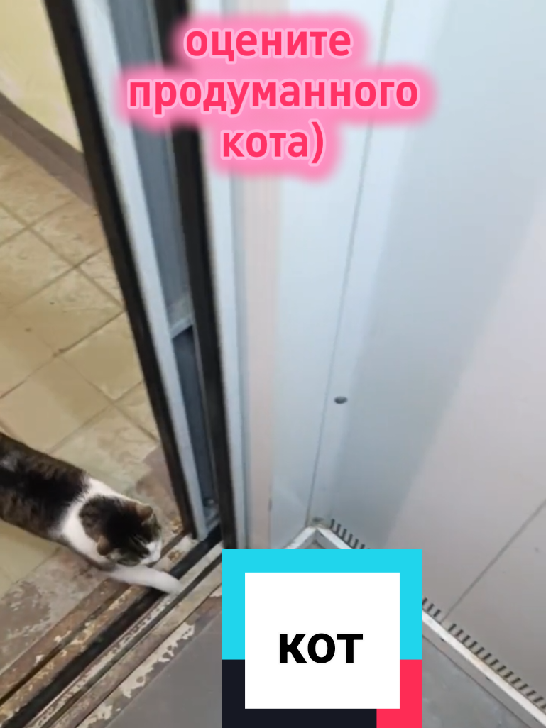 @Світлана