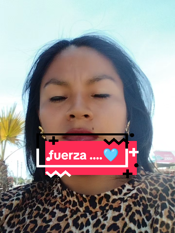 @Yurico🐯🦁