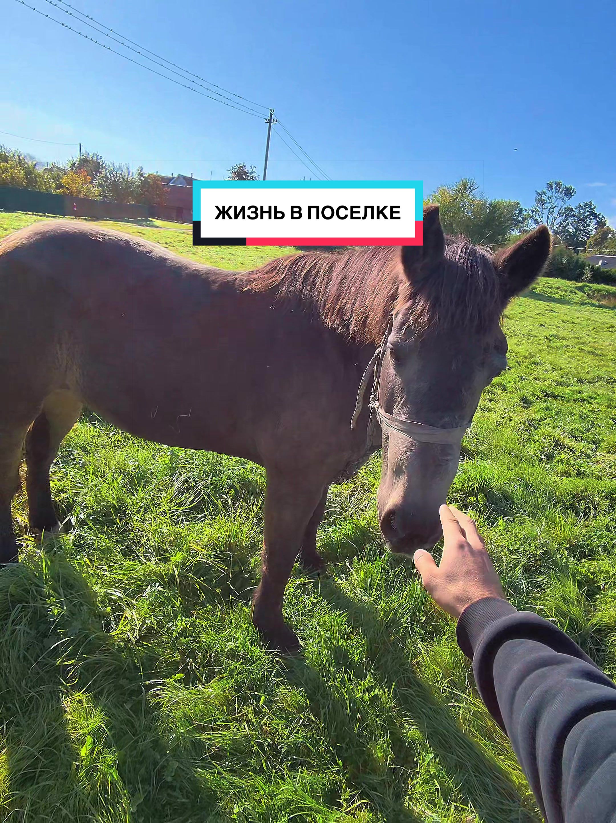 @Ростислав Чепурной