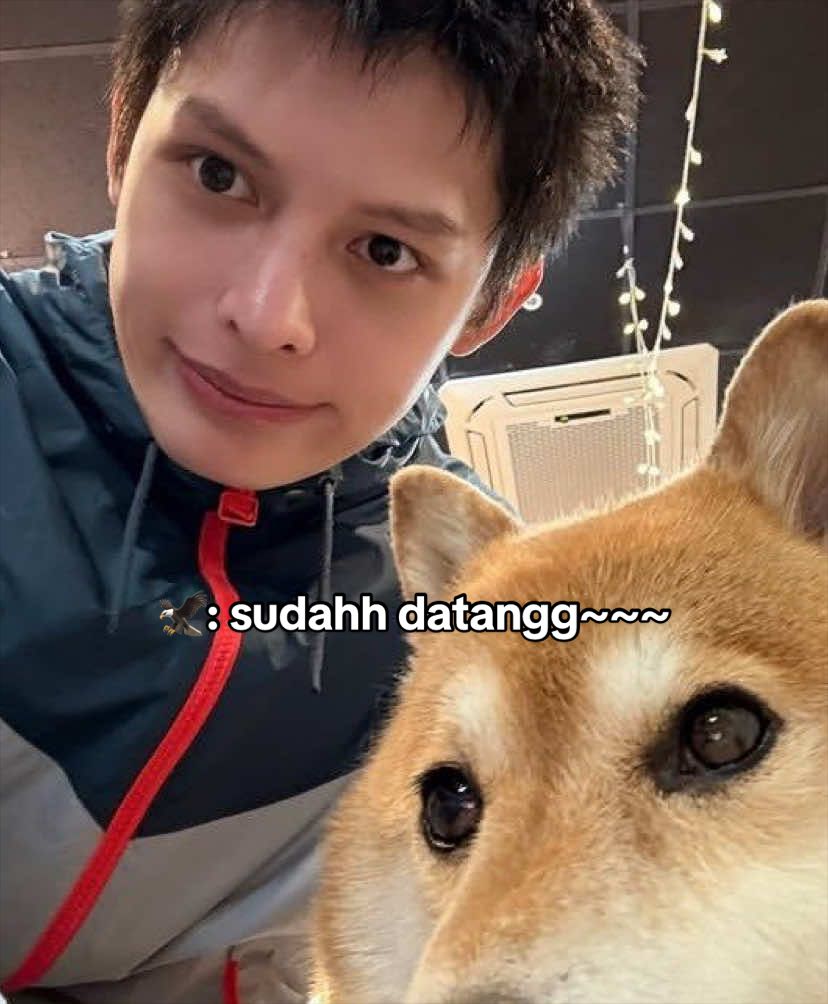 @mytingirl