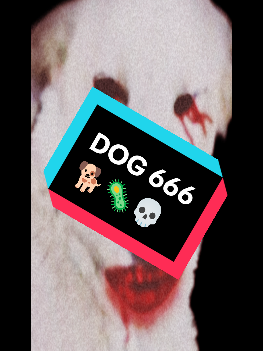 @user14446383289