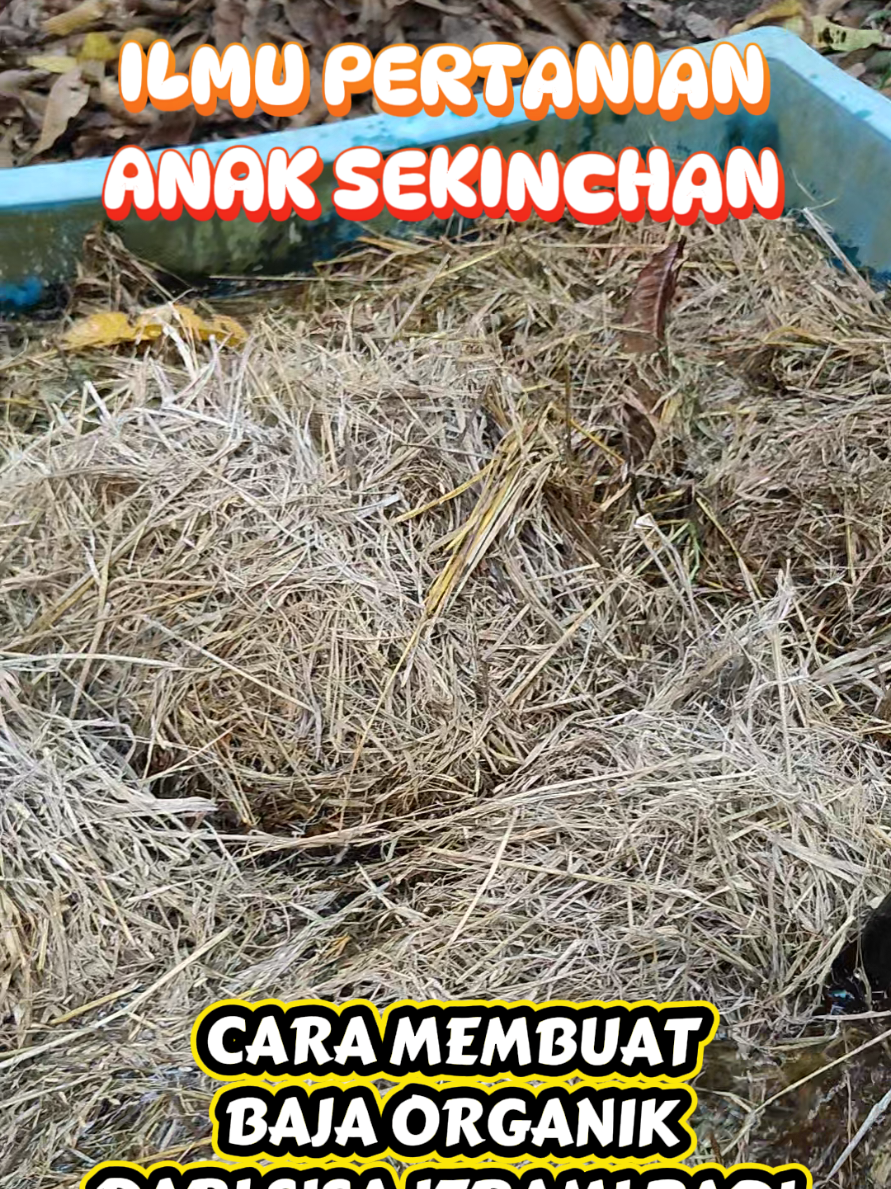 @Nadzri Shah79