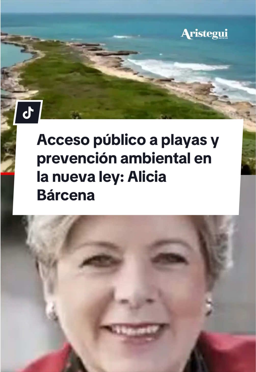 @Aristegui Noticias