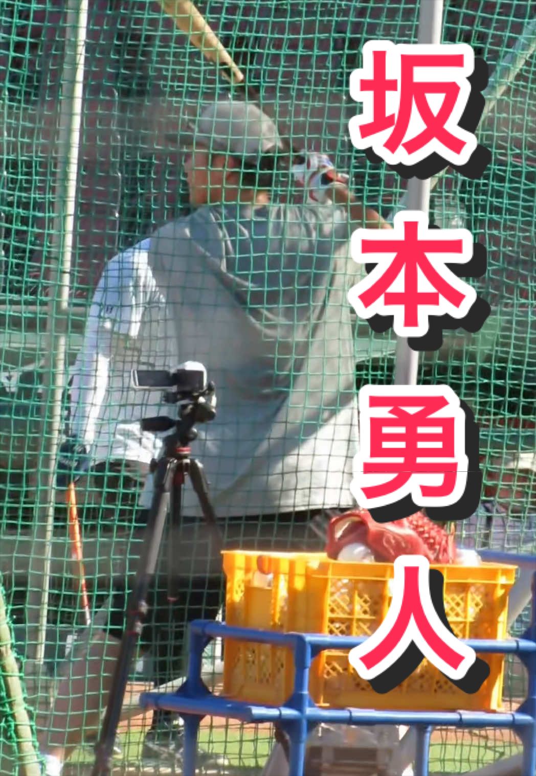 @ヘパリーゼ🫀