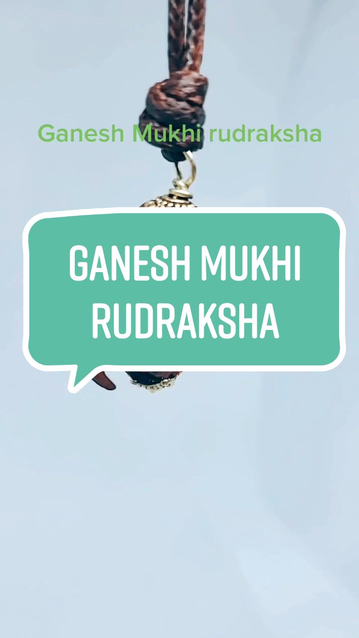 @nepal rudraksha