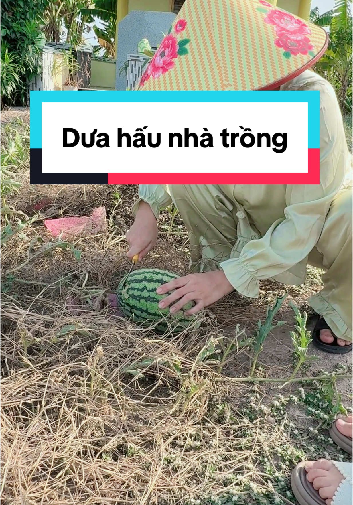 @Cherry Thiên Kim