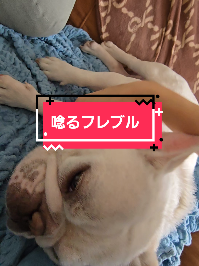 @フレブルJesse ❤️ MyO