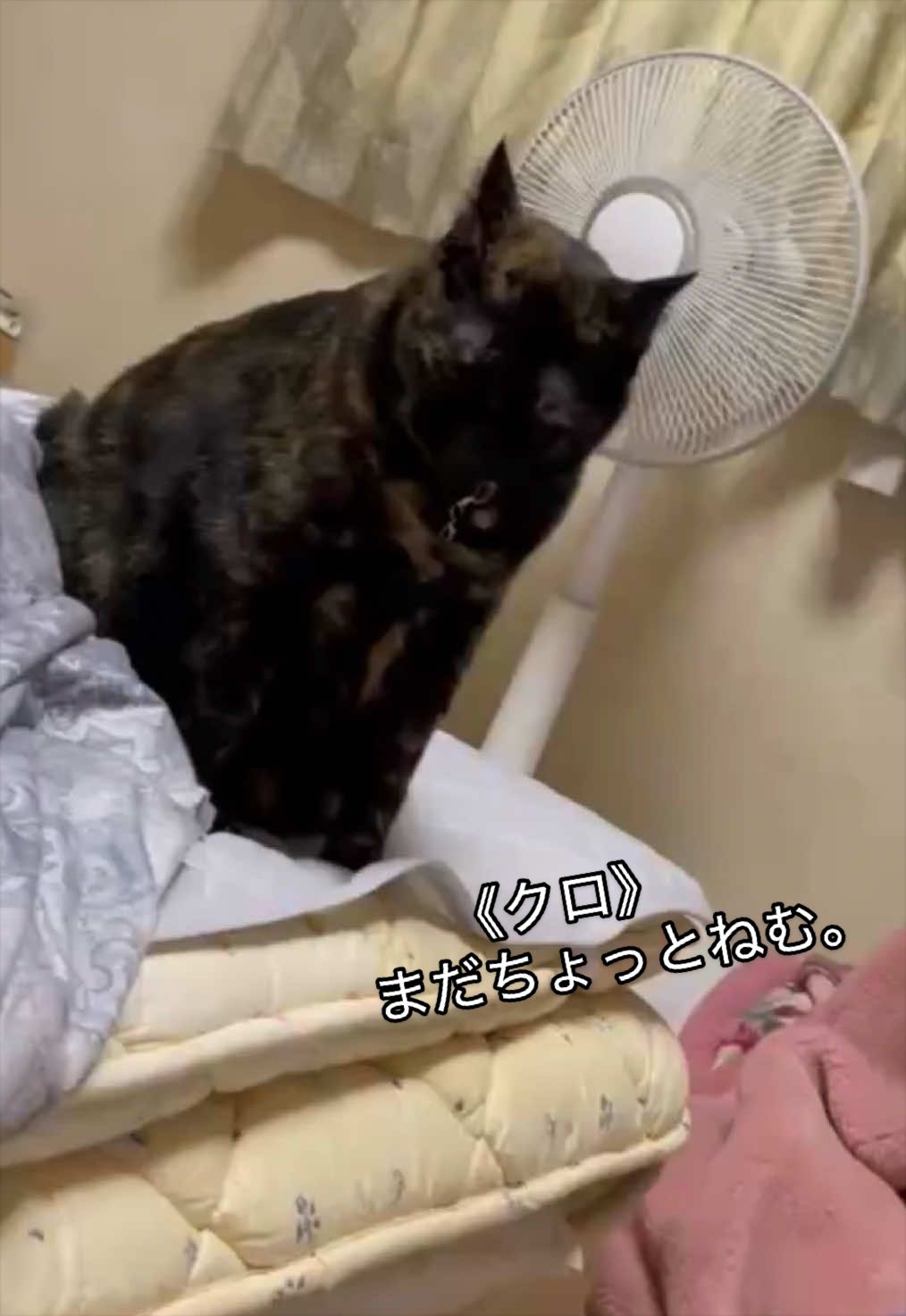 @聴々物語PROJECT
