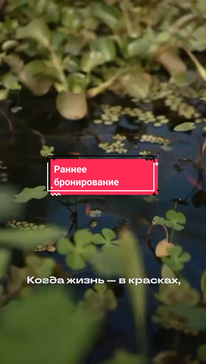 @Елена