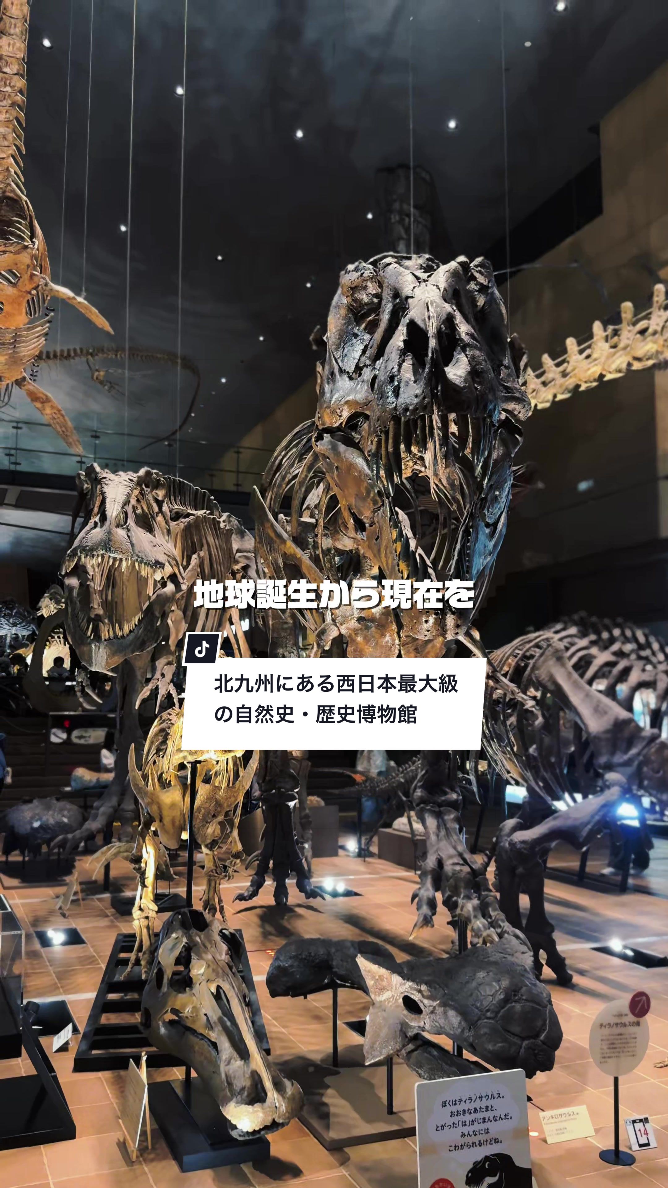 @俺たちならできる!?【九州イベント、観光⠀】