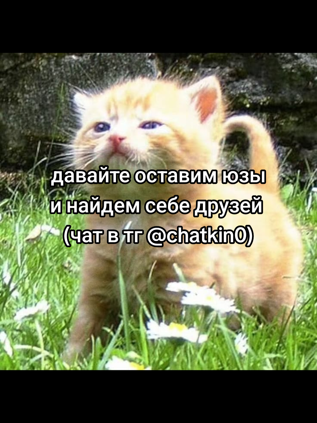@cqtagger