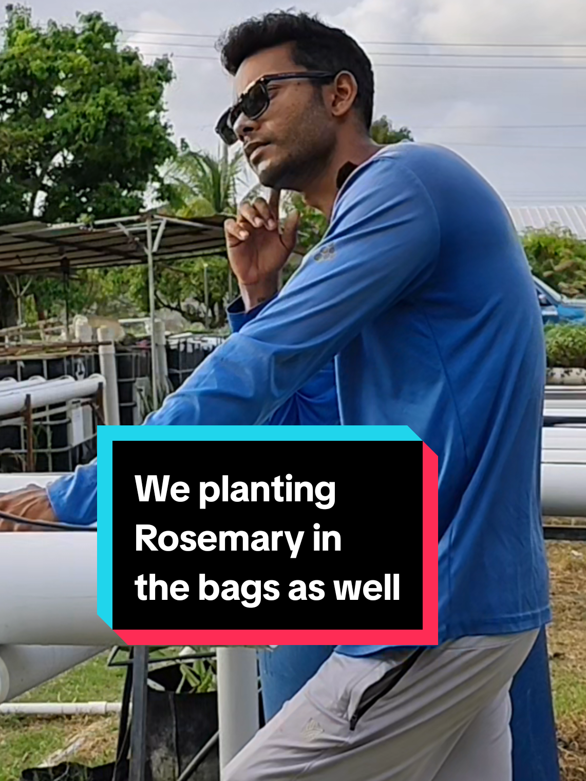 @Trini Farmer Chris 469 7467