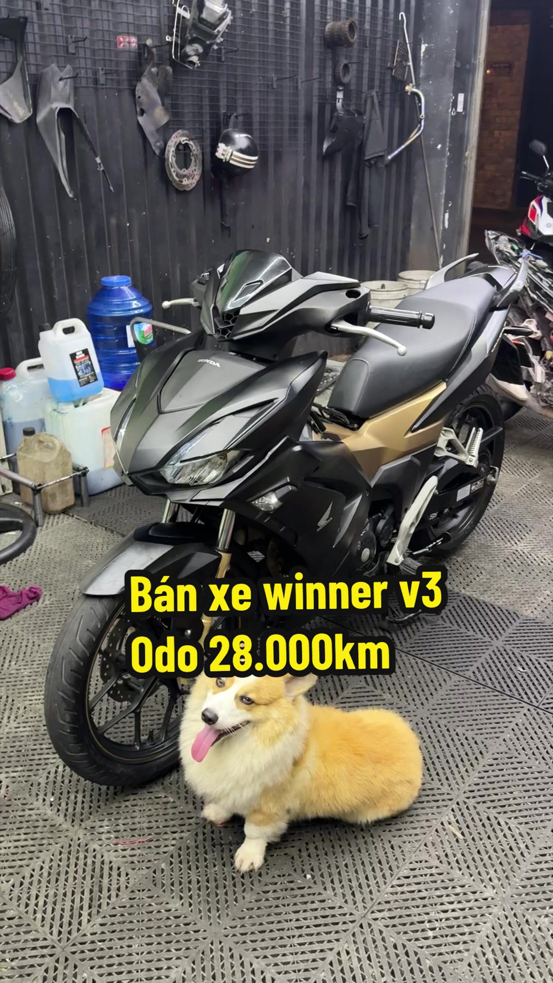 @Đạt L&agrave; 🇻🇳