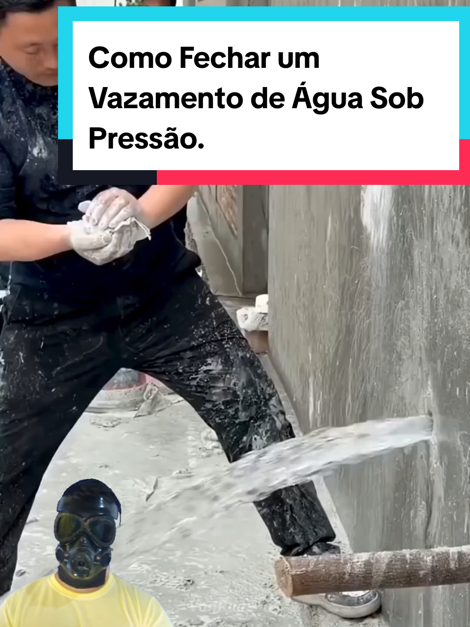@Mundo da Curiosidades